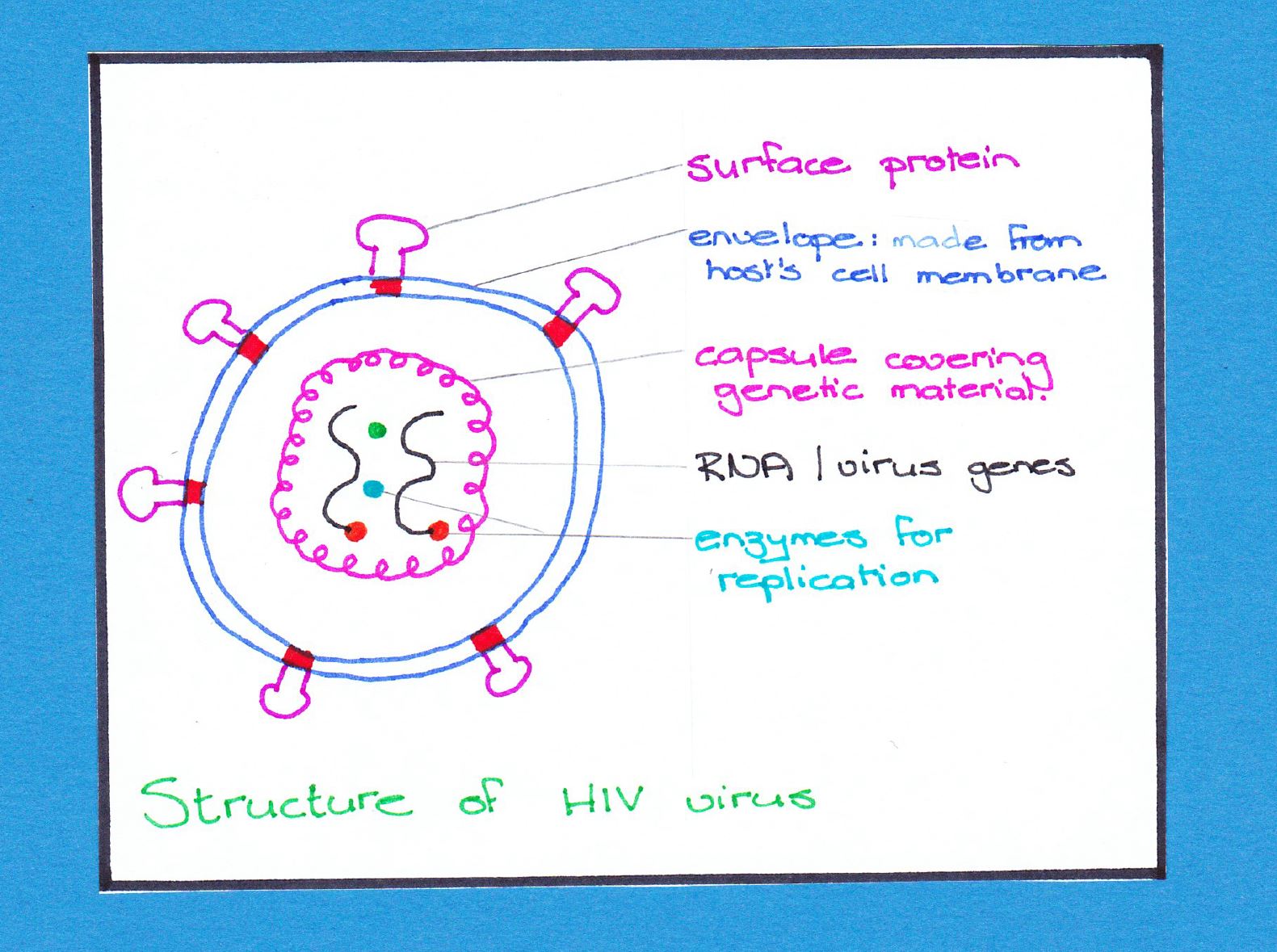 HIV: Success in Simplicity